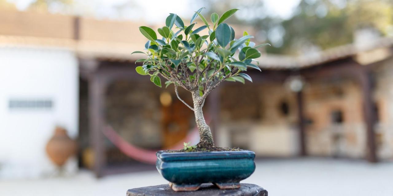Quinta Dos Canteiros Fátima Buitenkant foto